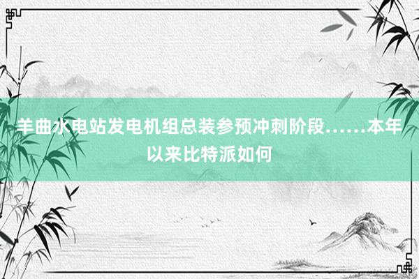 羊曲水电站发电机组总装参预冲刺阶段……本年以来比特派如何