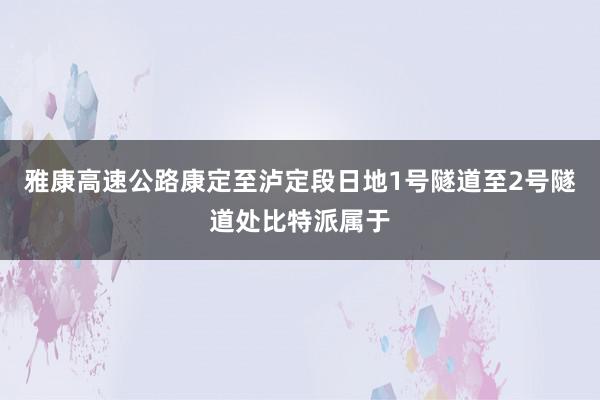 雅康高速公路康定至泸定段日地1号隧道至2号隧道处比特派属于