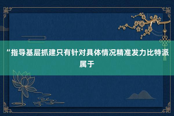 “指导基层抓建只有针对具体情况精准发力比特派属于