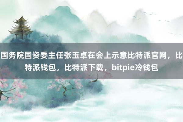 国务院国资委主任张玉卓在会上示意比特派官网，比特派钱包，比特派下载，bitpie冷钱包