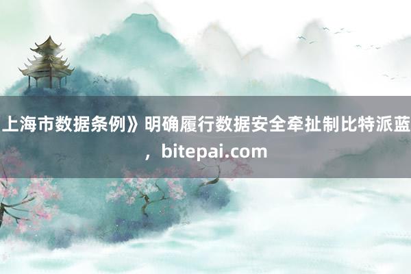 《上海市数据条例》明确履行数据安全牵扯制比特派蓝牙，bitepai.com