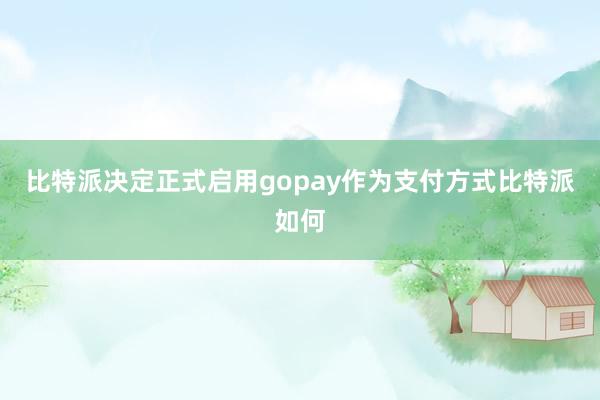 比特派决定正式启用gopay作为支付方式比特派如何