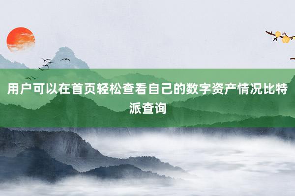 用户可以在首页轻松查看自己的数字资产情况比特派查询