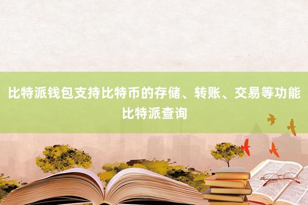 比特派钱包支持比特币的存储、转账、交易等功能比特派查询