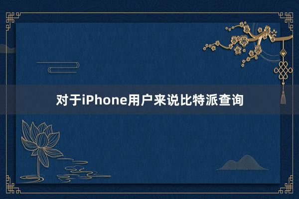 对于iPhone用户来说比特派查询