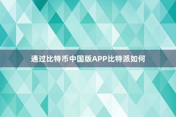 通过比特币中国版APP比特派如何