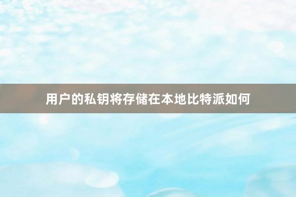 用户的私钥将存储在本地比特派如何