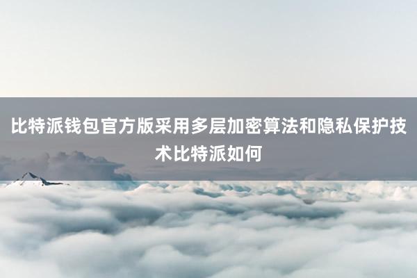 比特派钱包官方版采用多层加密算法和隐私保护技术比特派如何