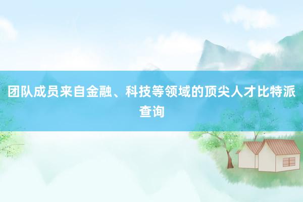 团队成员来自金融、科技等领域的顶尖人才比特派查询