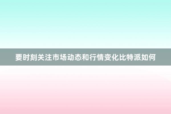 要时刻关注市场动态和行情变化比特派如何