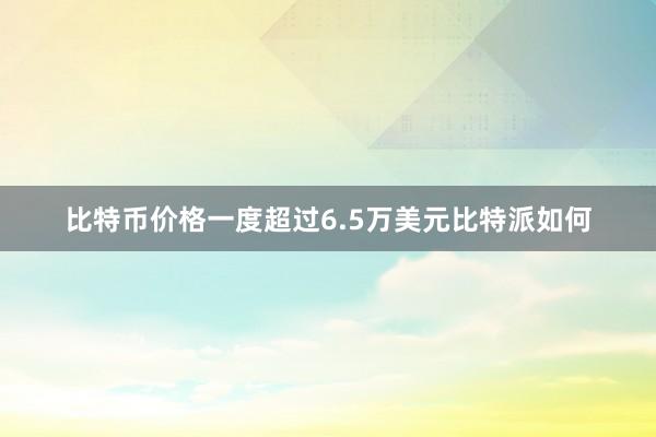 比特币价格一度超过6.5万美元比特派如何