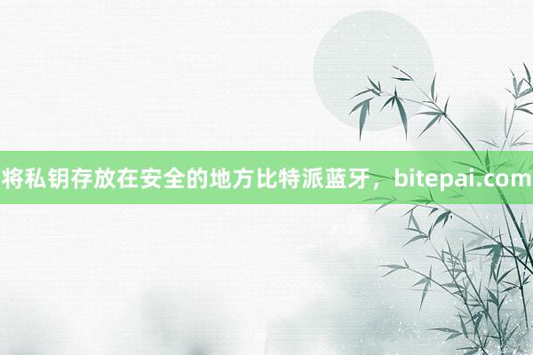 将私钥存放在安全的地方比特派蓝牙，bitepai.com