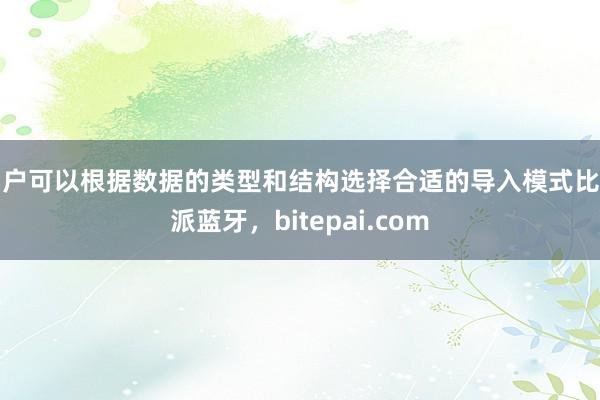 用户可以根据数据的类型和结构选择合适的导入模式比特派蓝牙，bitepai.com