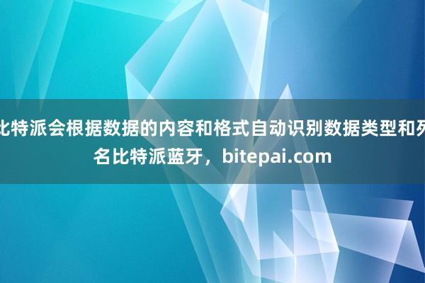 比特派会根据数据的内容和格式自动识别数据类型和列名比特派蓝牙，bitepai.com