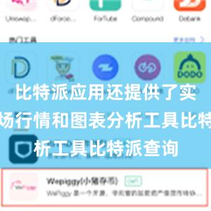 比特派应用还提供了实时的市场行情和图表分析工具比特派查询