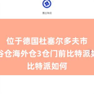 位于德国杜塞尔多夫市的谷仓海外仓3仓门前比特派如何