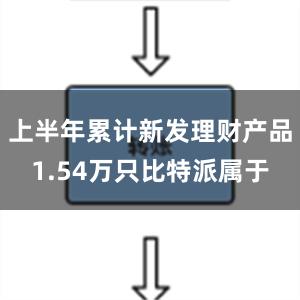 上半年累计新发理财产品1.54万只比特派属于