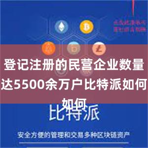 登记注册的民营企业数量达5500余万户比特派如何