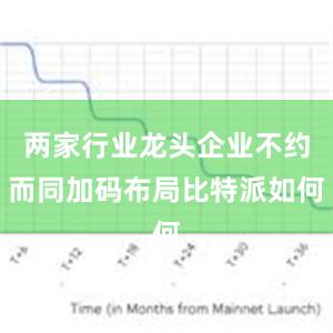 两家行业龙头企业不约而同加码布局比特派如何