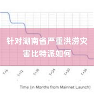 针对湖南省严重洪涝灾害比特派如何