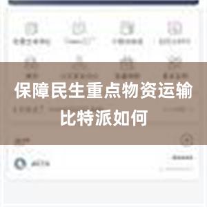 保障民生重点物资运输比特派如何