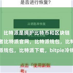 比特派是拥护比特币和区块链技术的支持者比特派官网，比特派钱包，比特派下载，bitpie冷钱包