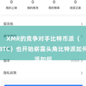 XMR的竞争对手比特币派（BTC）也开始崭露头角比特派如何