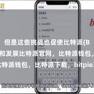 但是这些挑战也促使比特派(BCH)不断完善和发展比特派官网，比特派钱包，比特派下载，bitpie冷钱包