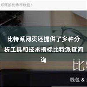 比特派网页还提供了多种分析工具和技术指标比特派查询